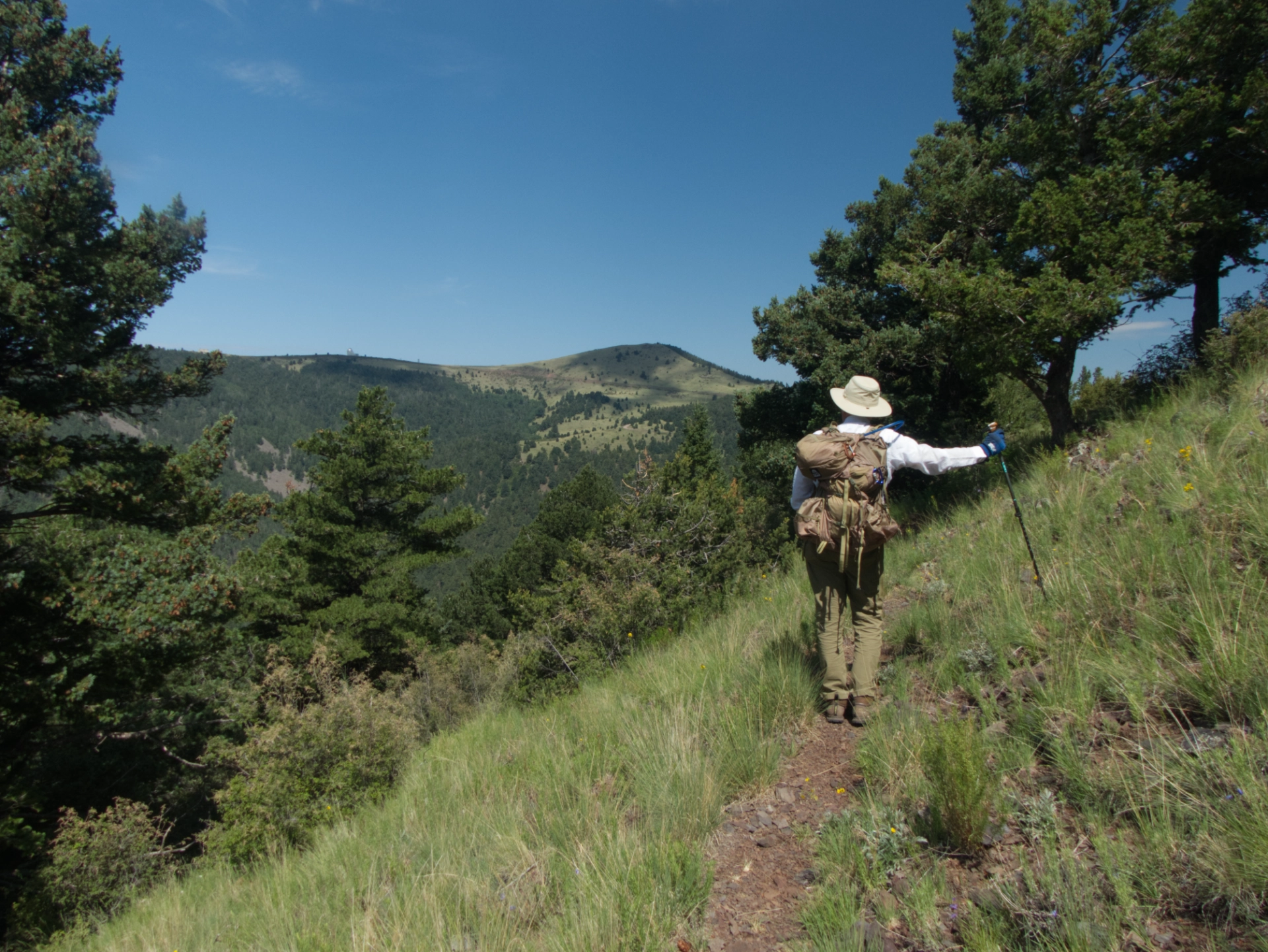 looking back toward the summit of South Baldy