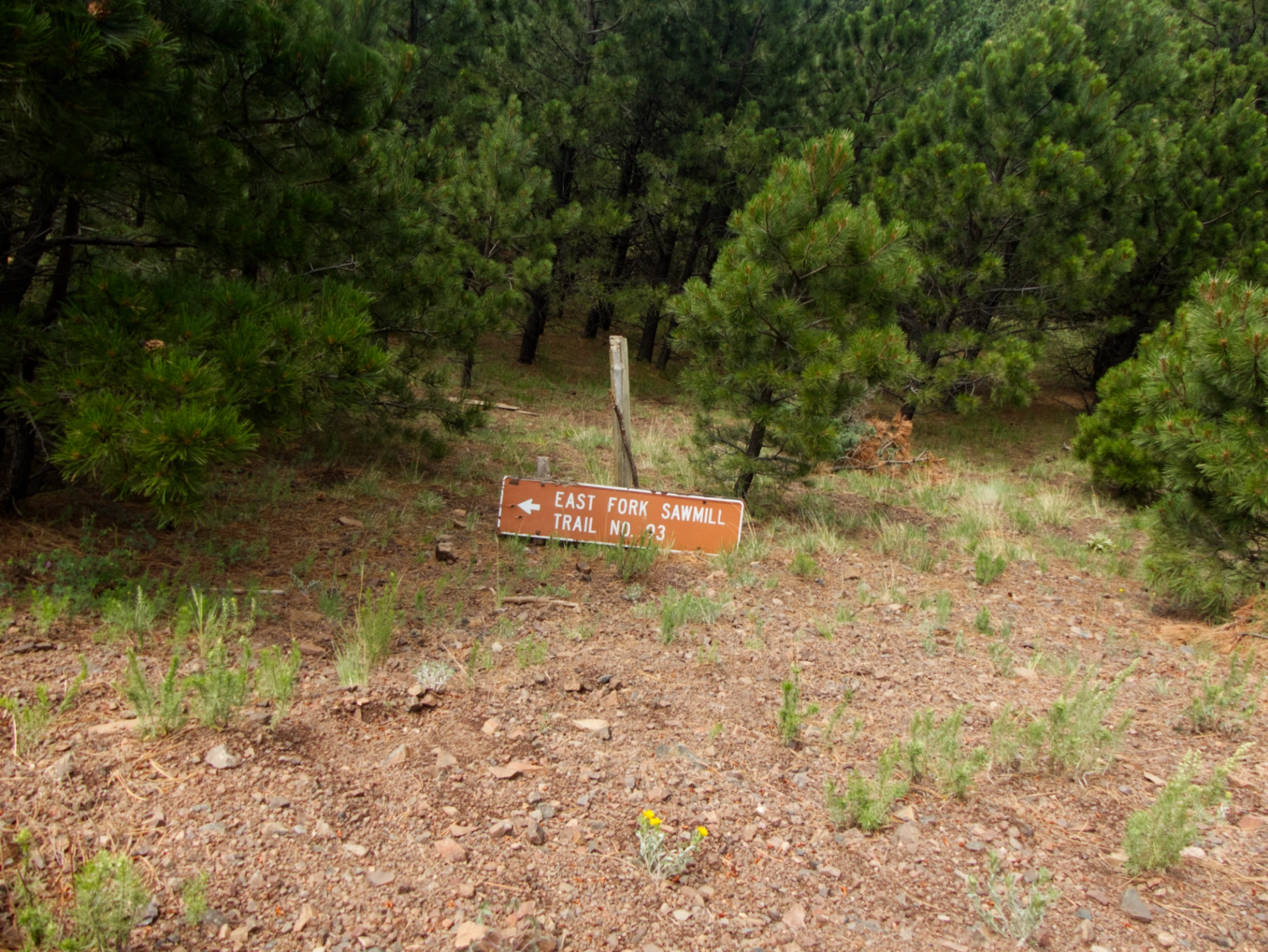 trail sign in the ditch