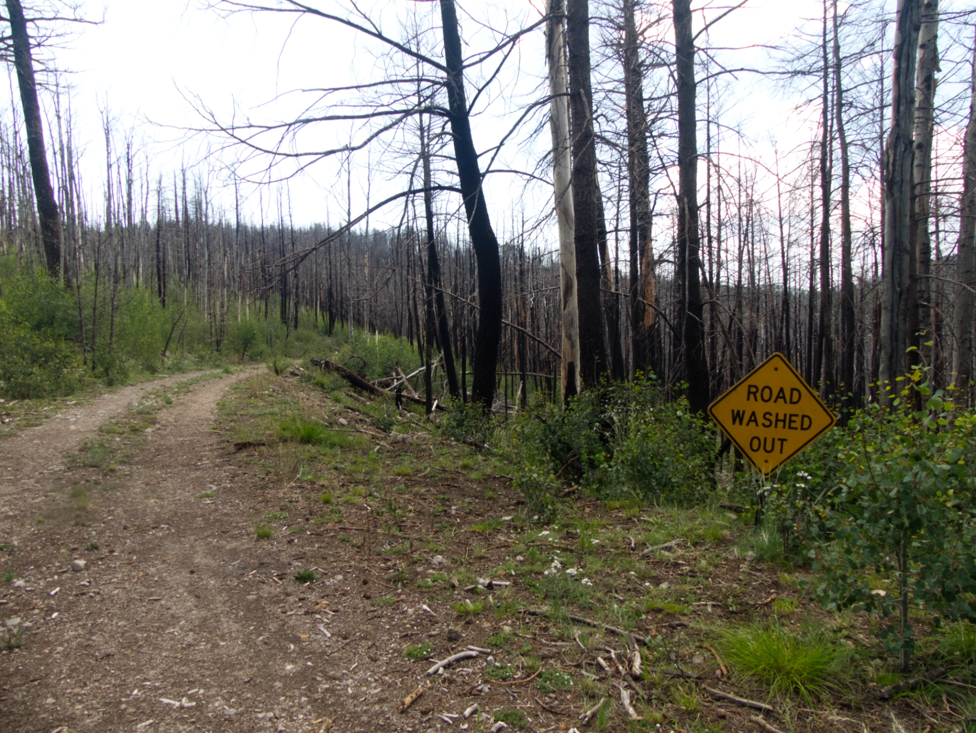 road washed out