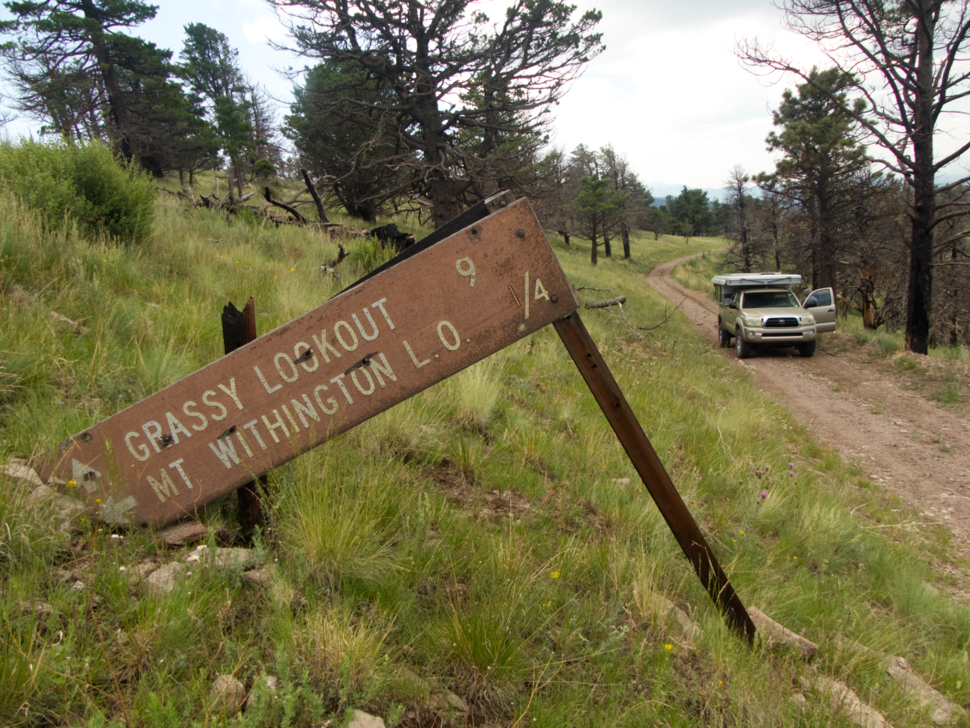 fallen sign