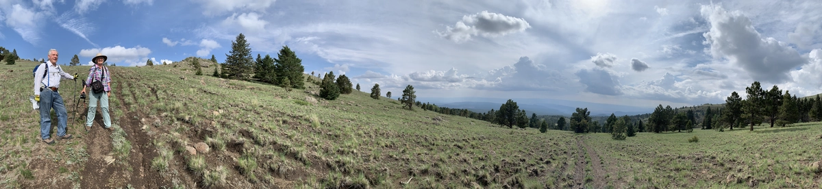 panorama