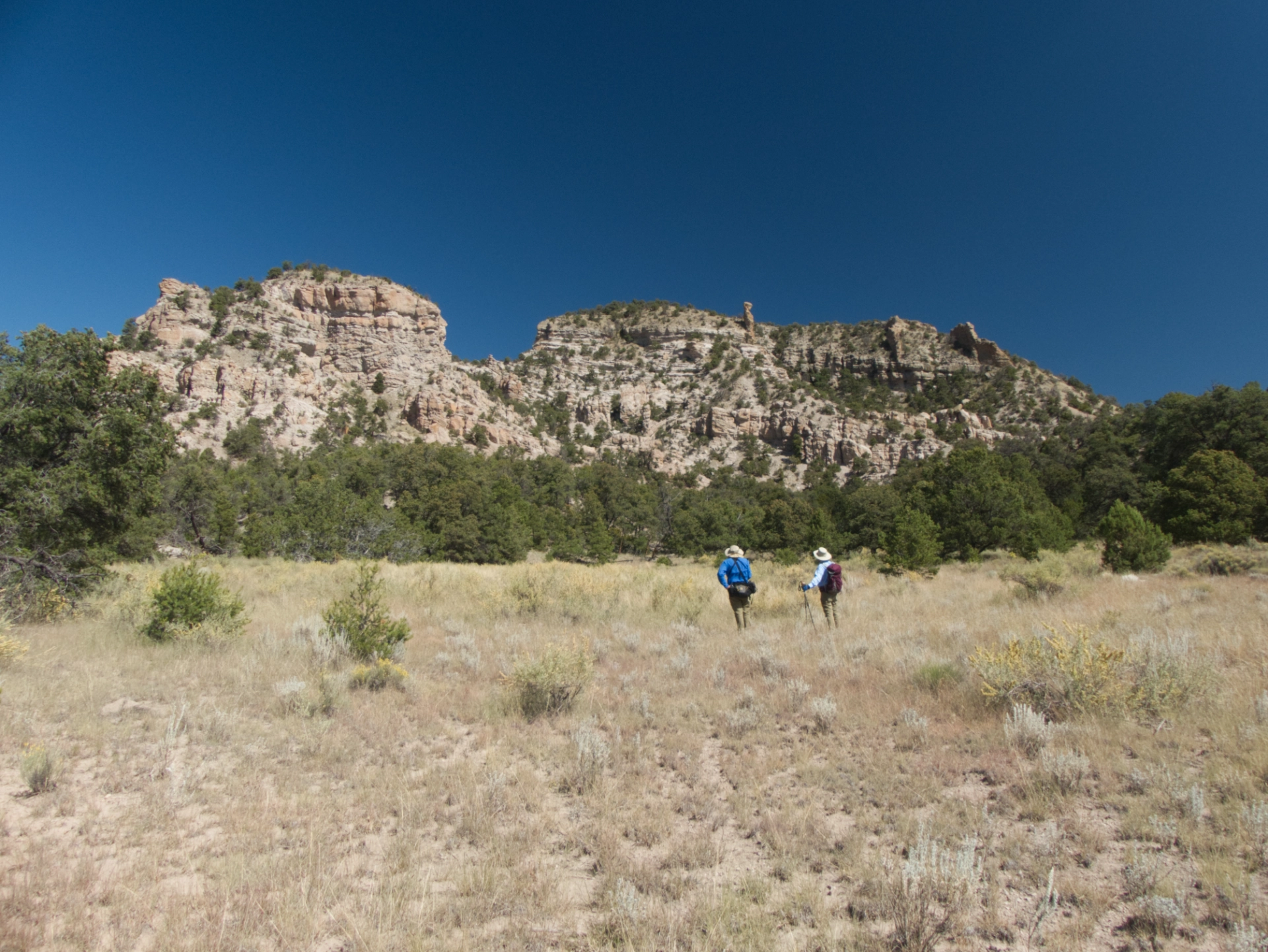 hikers in the field looking back at two peaks in the Sawtooth Mountains