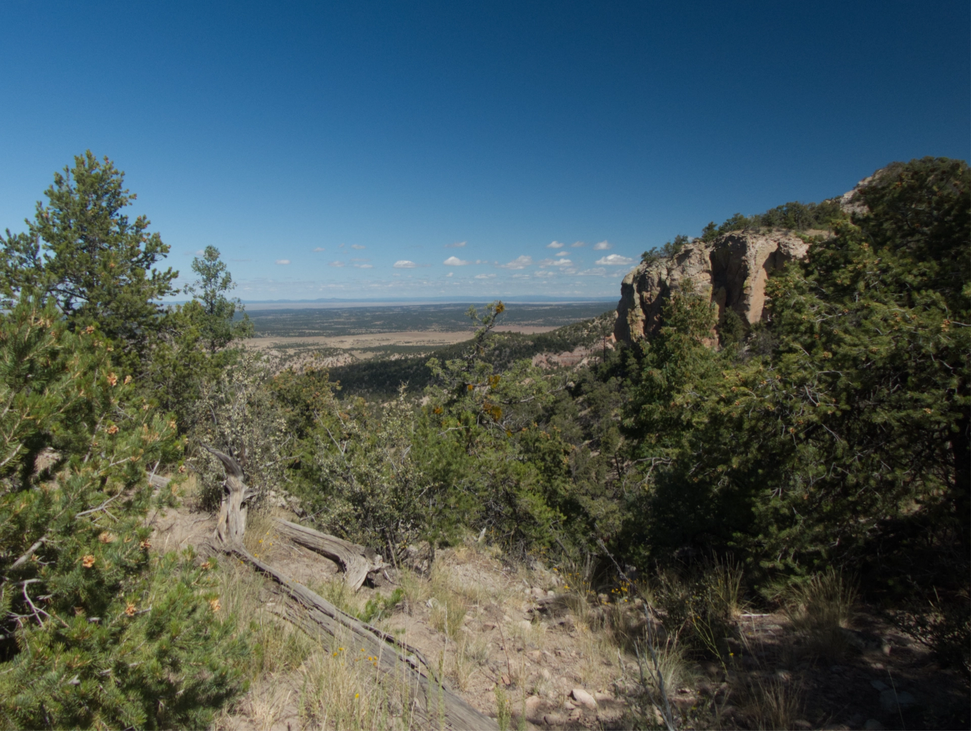 view to the north from a high saddle