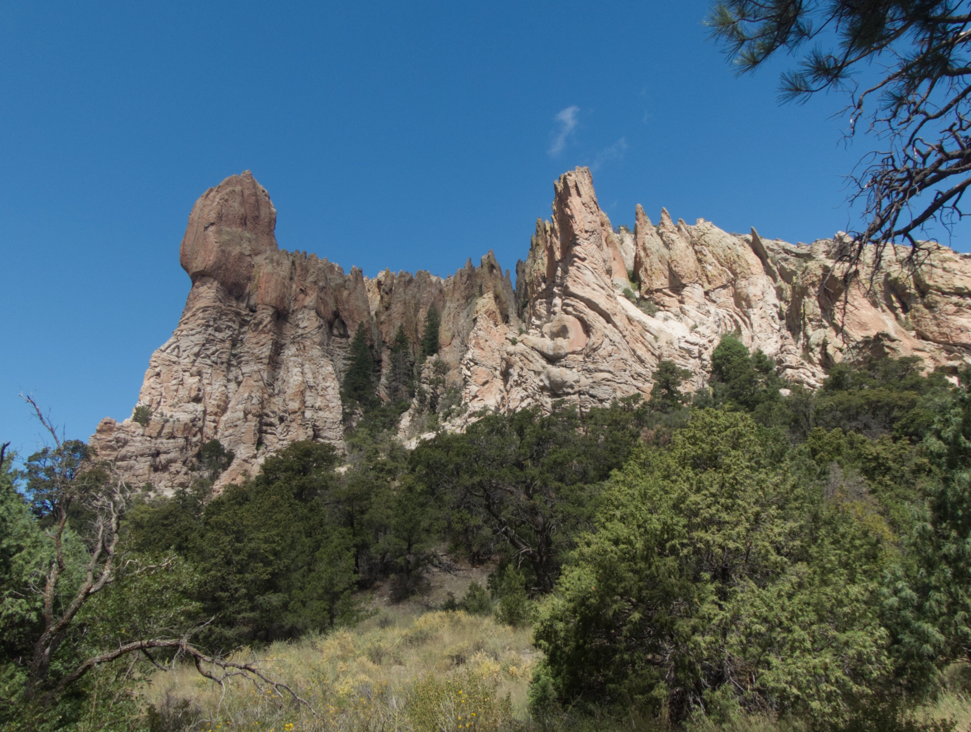 side view of peak 8919, riddled with spires and fins