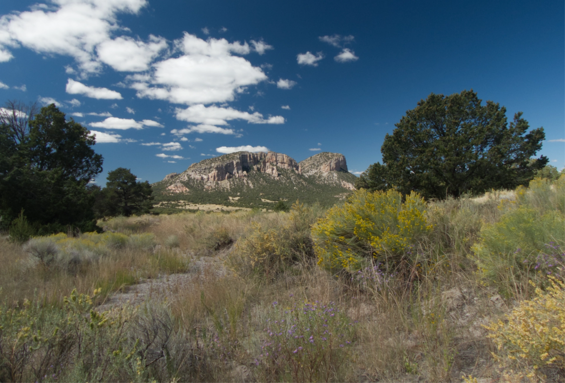 view across a field toward peak 9085