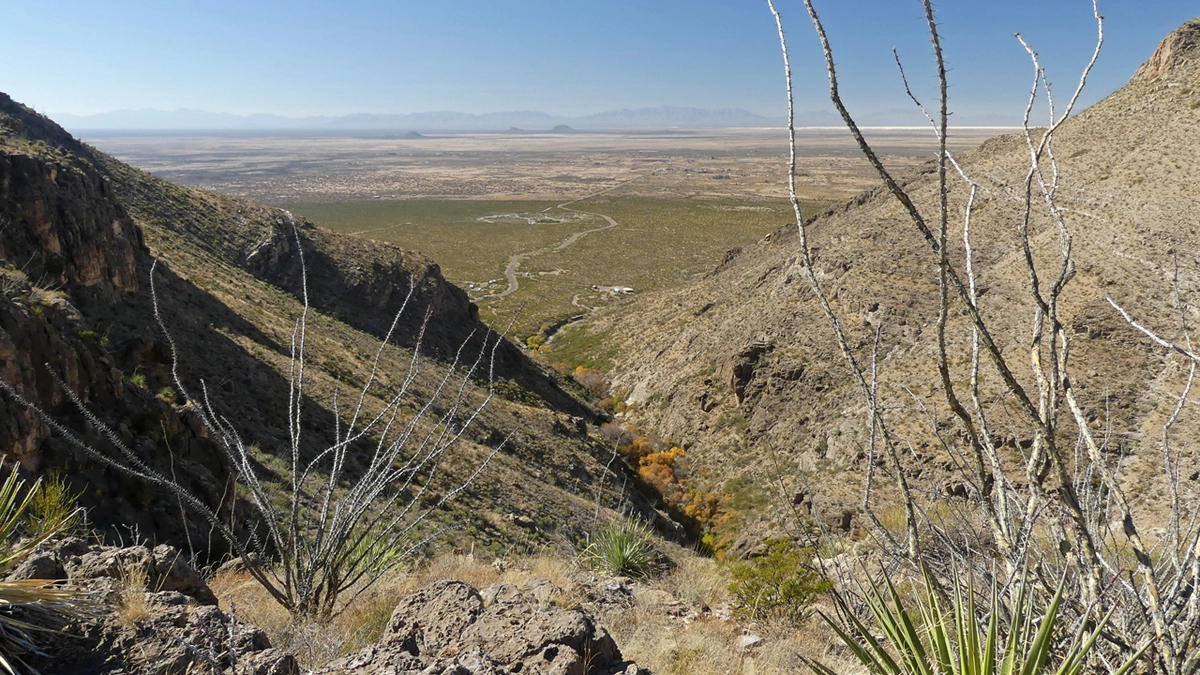 fall foliage in Dog Canyon