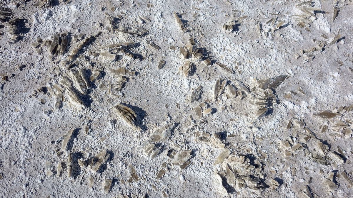 white sand around selenite crystals