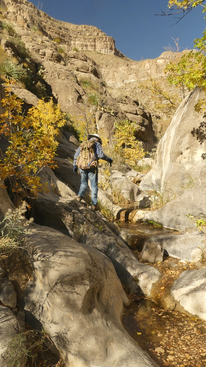 the canyon narrows