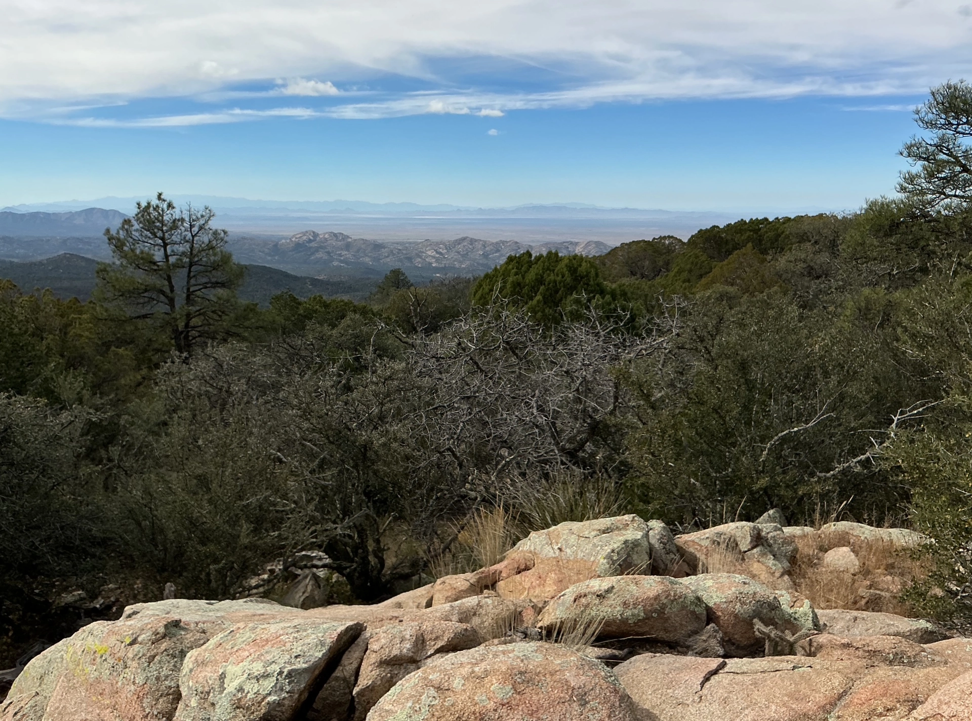 view from Burro Peak across Animas Playa