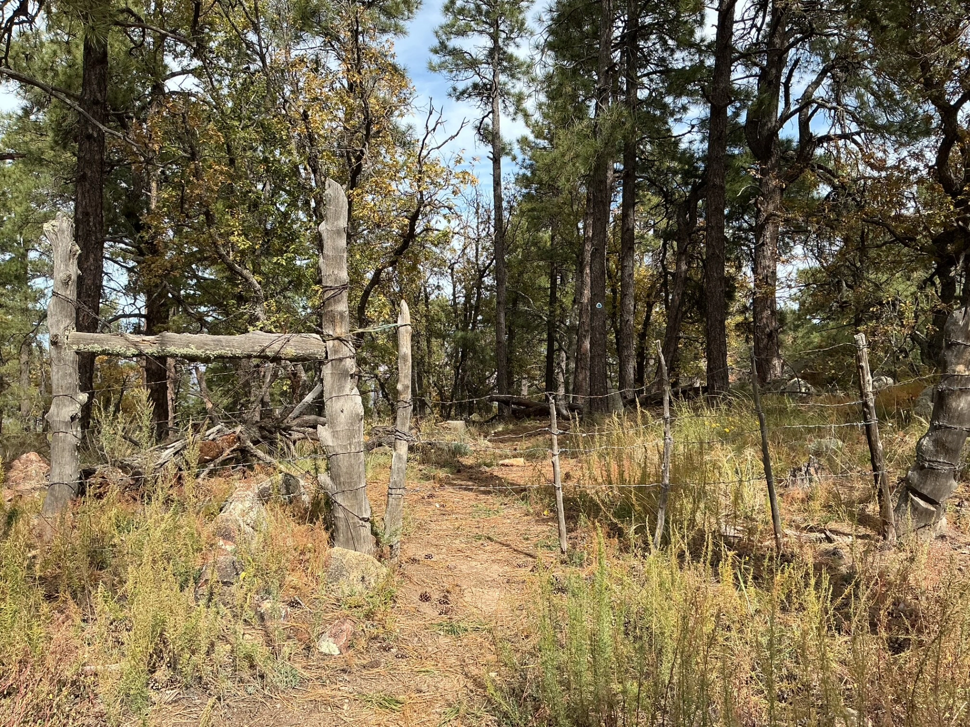 cattle gate near the summit of Burro Peak