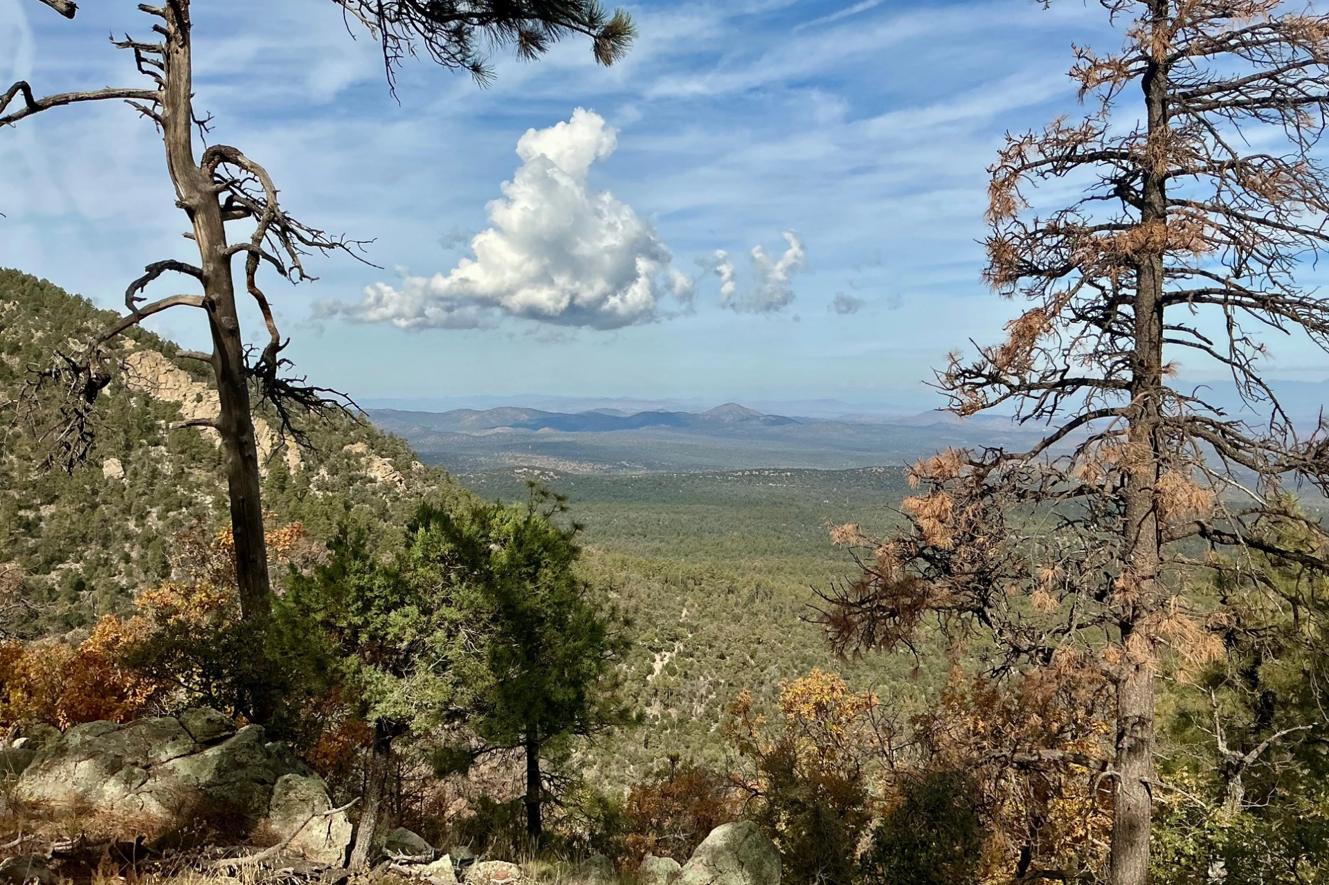 view north toward the Little Burro Mountains