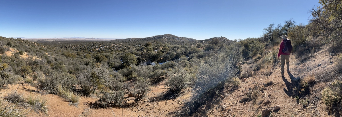 panorama from the top of the ridge