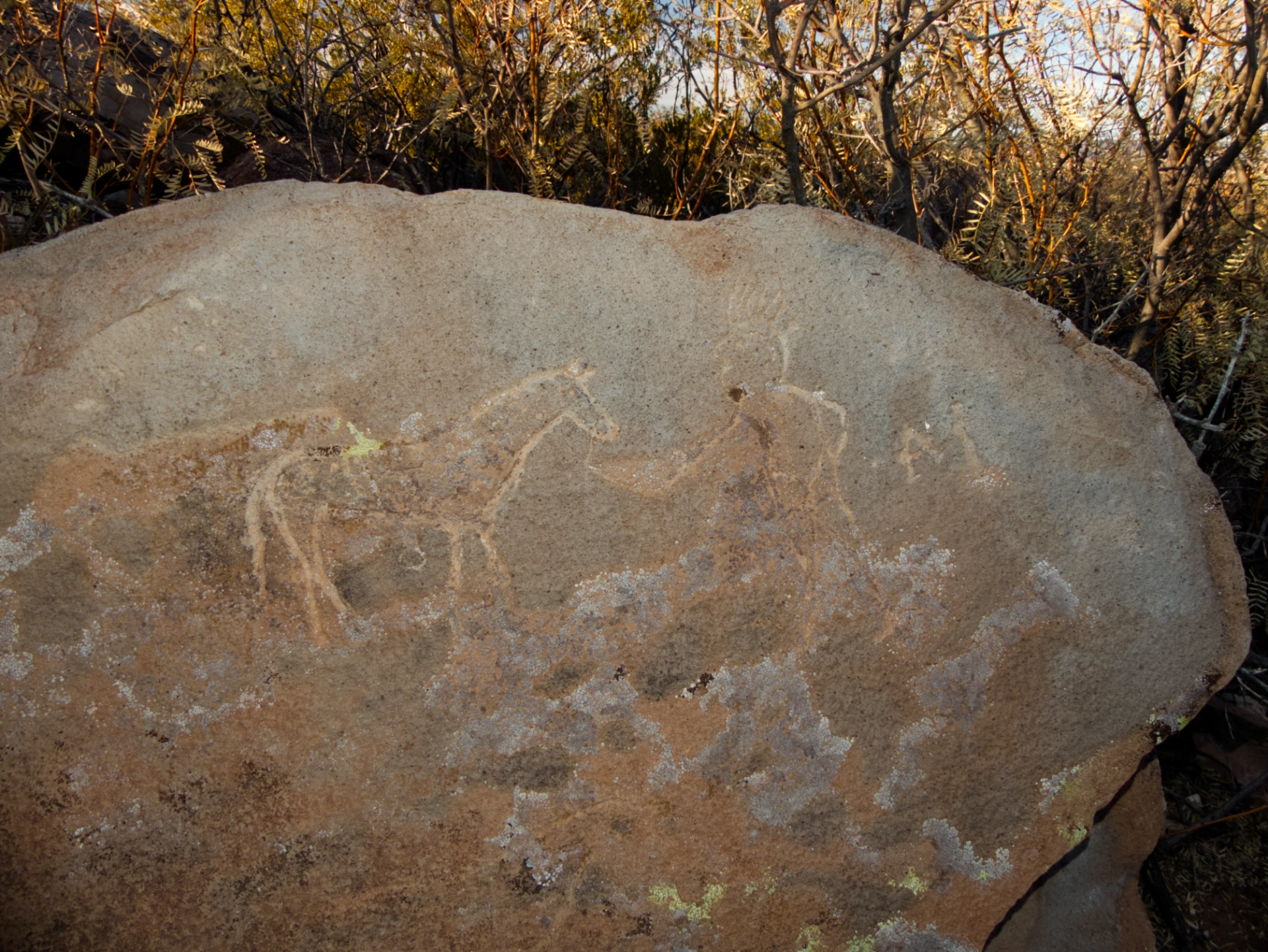 faint image of a horse with a human figure