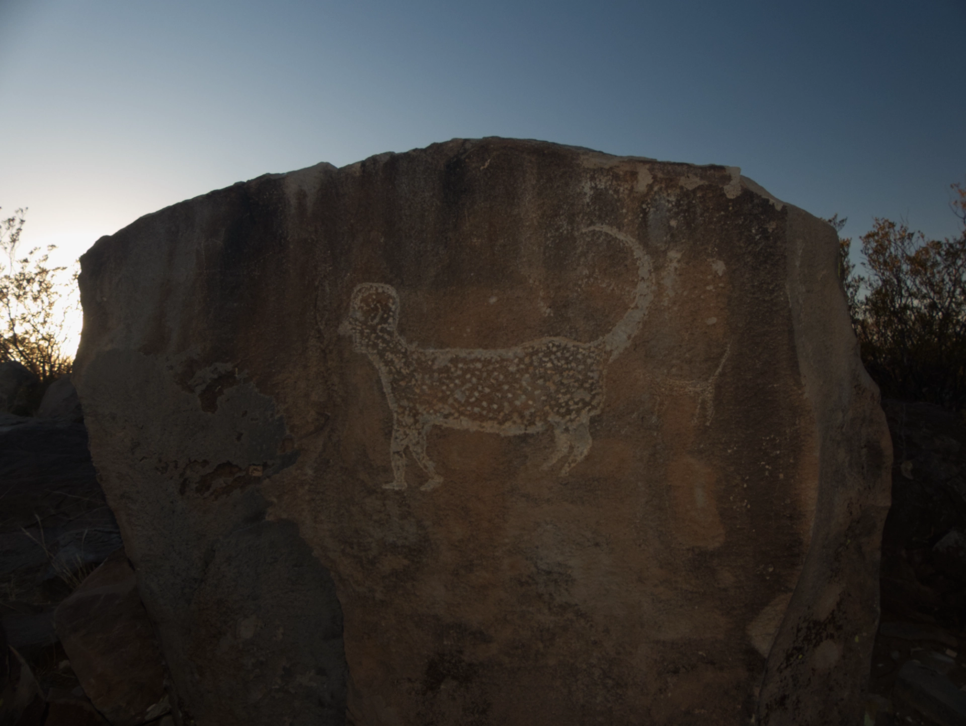 petroglyph that looks like a jaguar with a human face