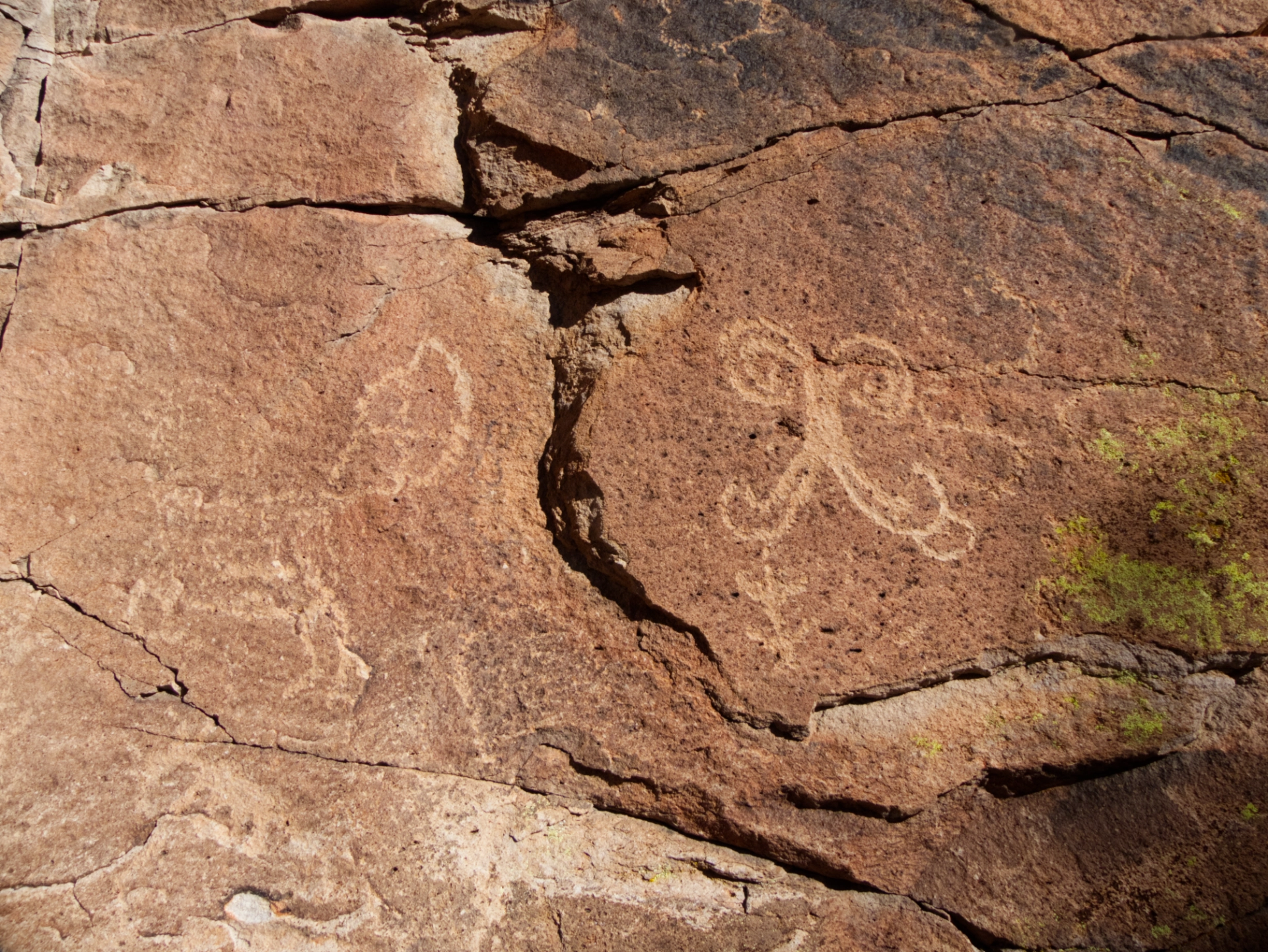 butterfly petroglyph