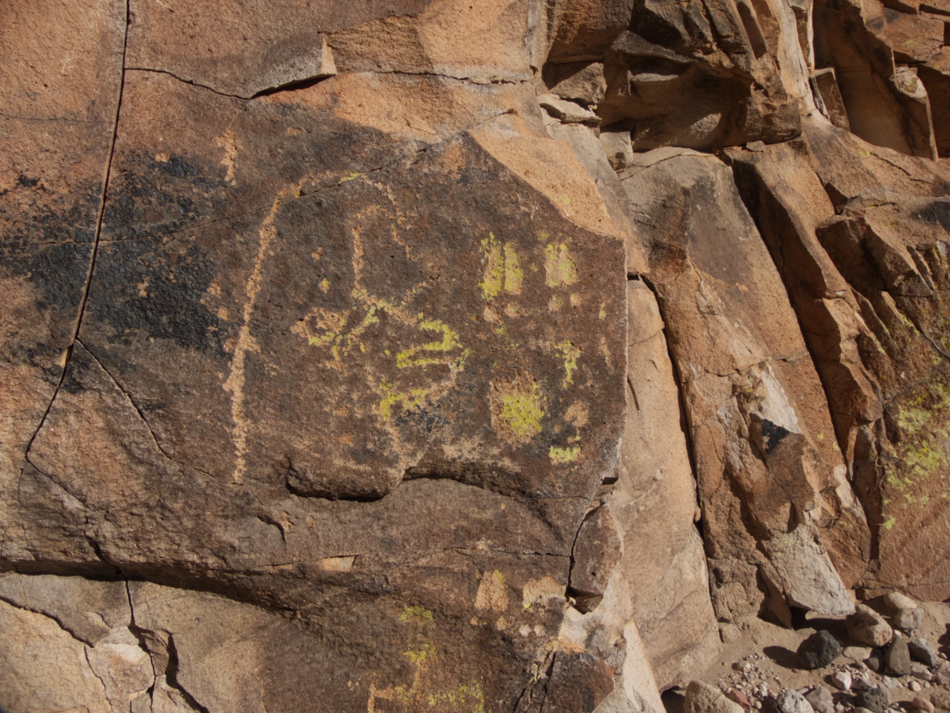 bird head petroglyph