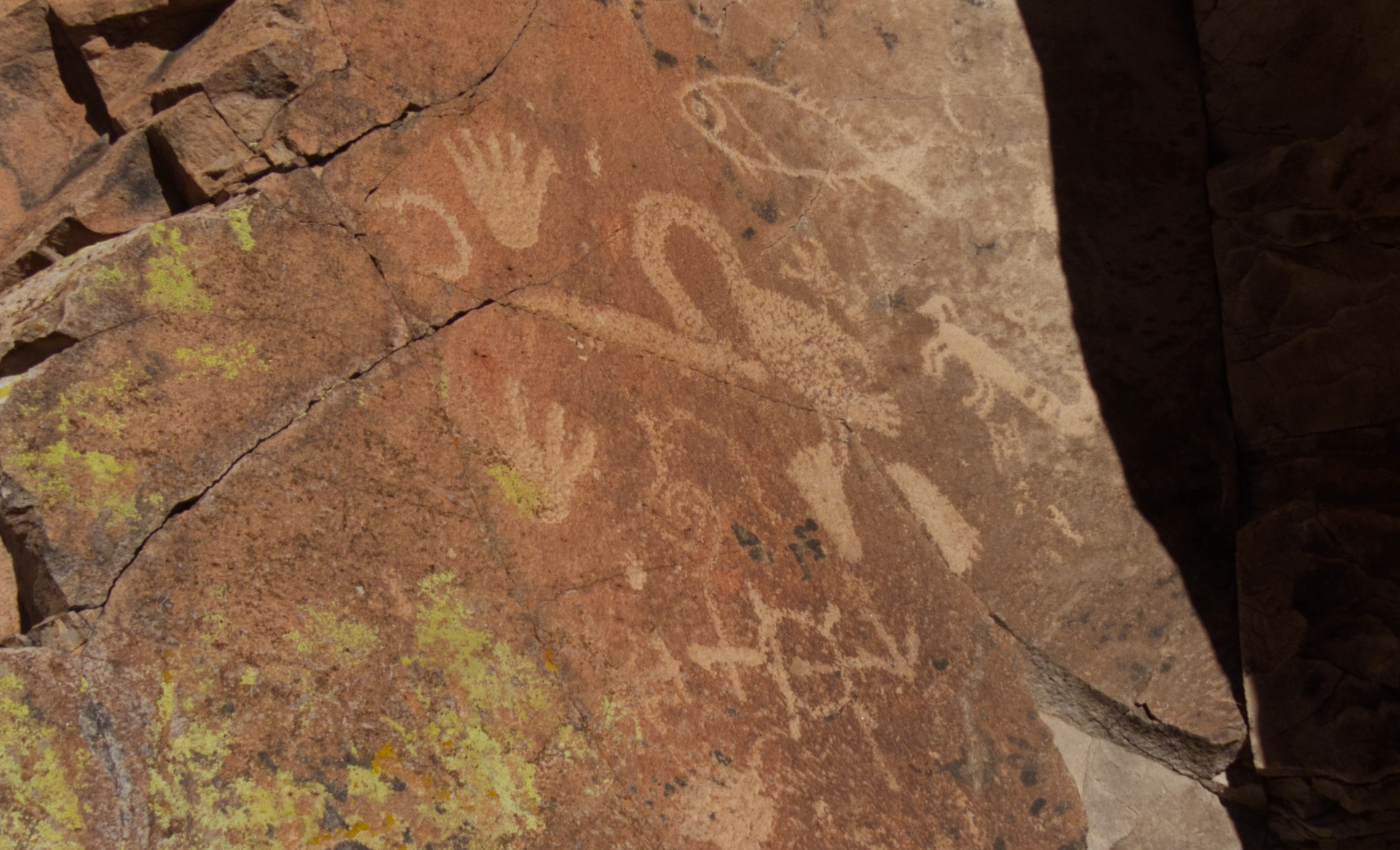 complex petroglyph panel