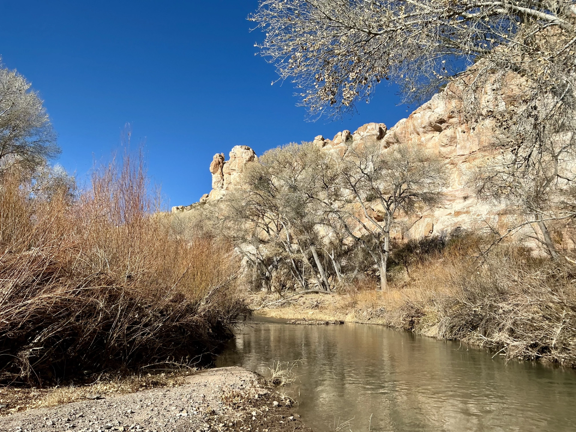 shore of Gila River