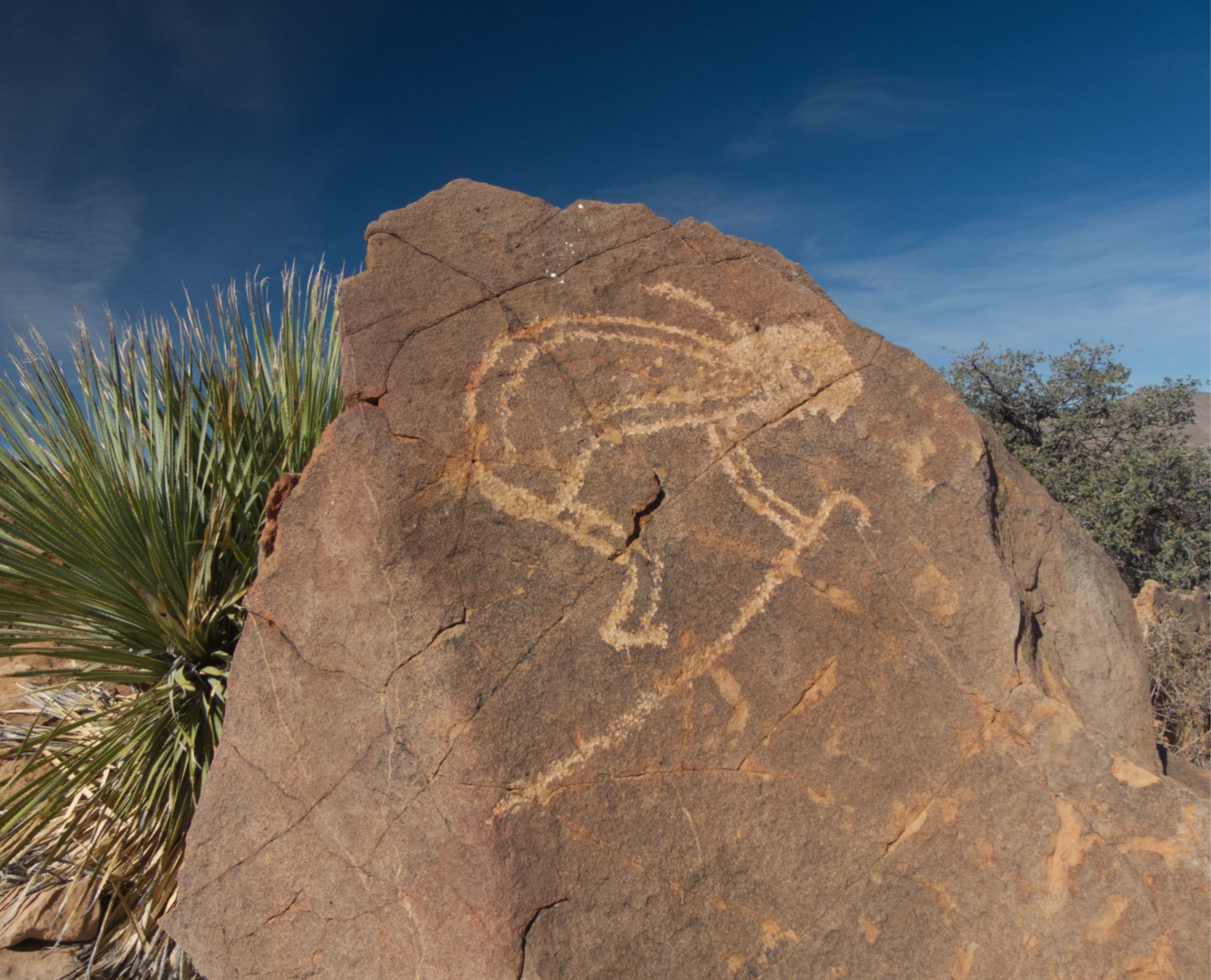 Kokopelli petroglyph