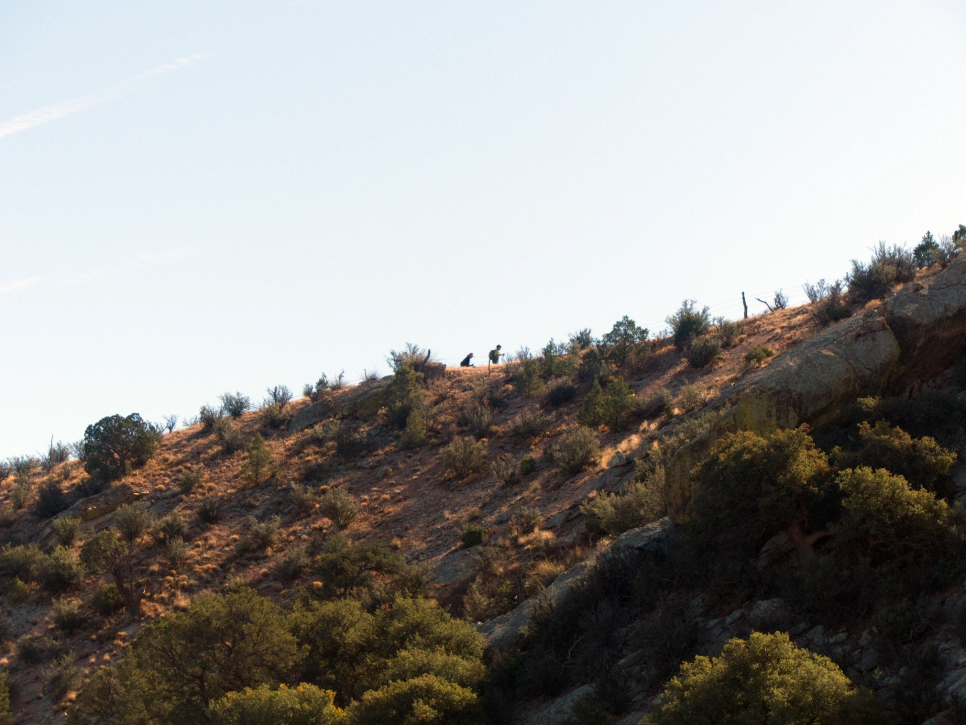 hikers on a distant slope