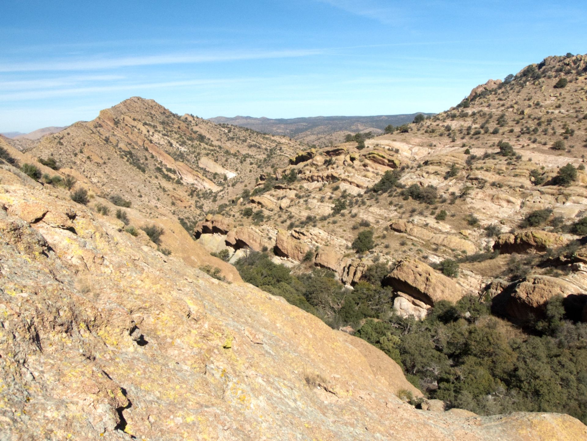 folded rhyolite on Brock Ridge