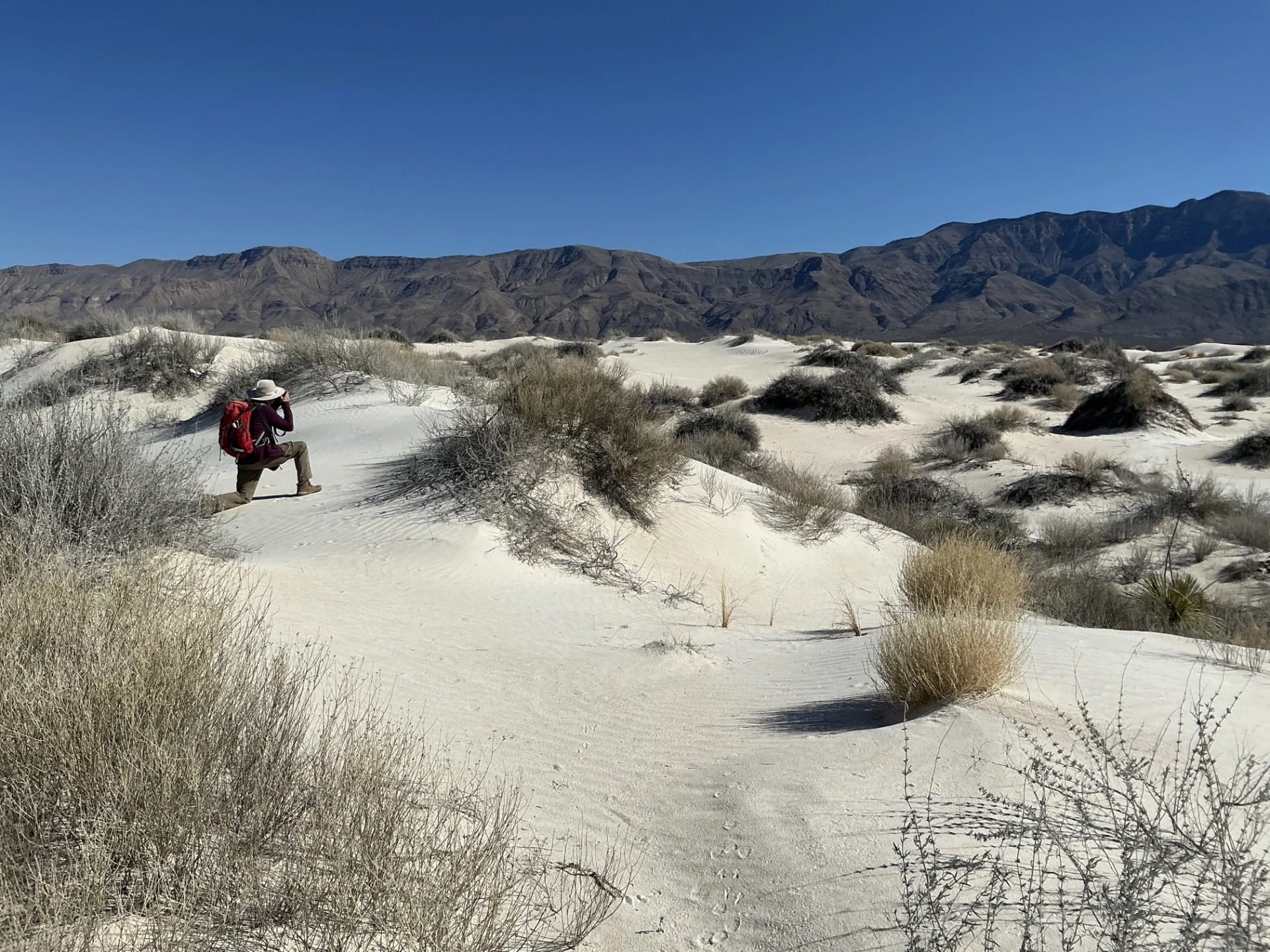 me taking photos in the dunes