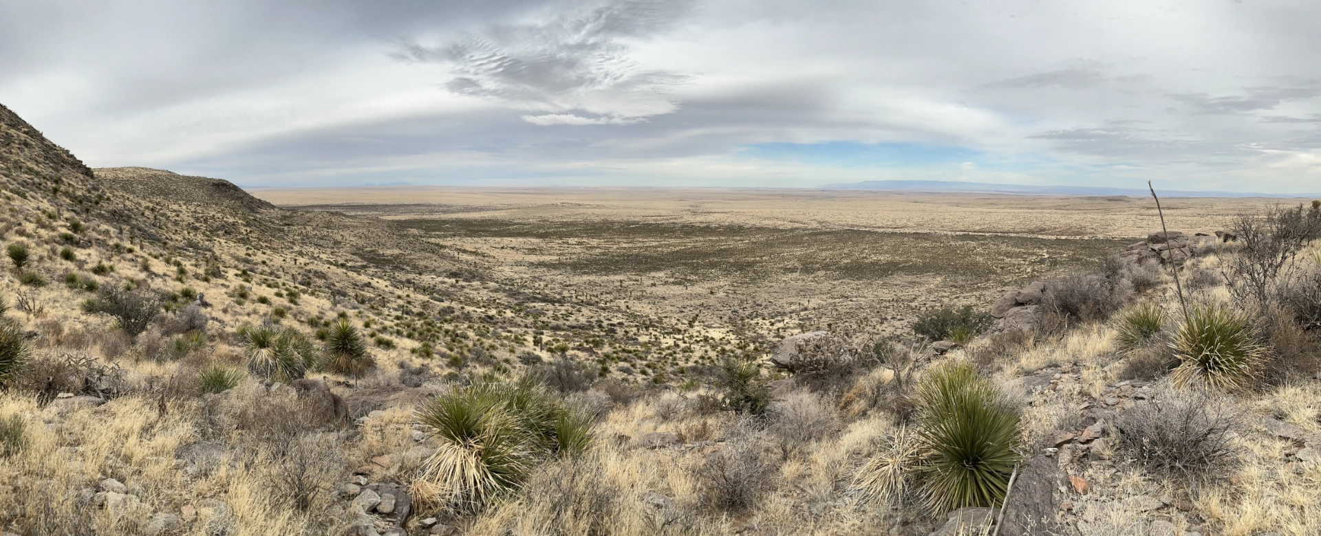 panoramic view from Alamo Mountain