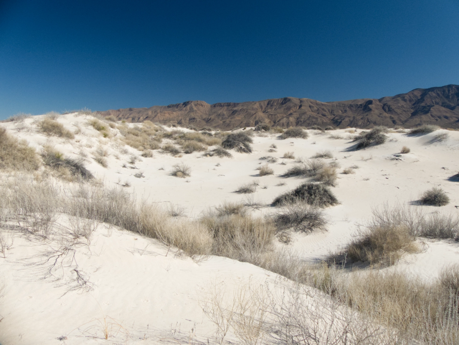 Salt Basin Dunes