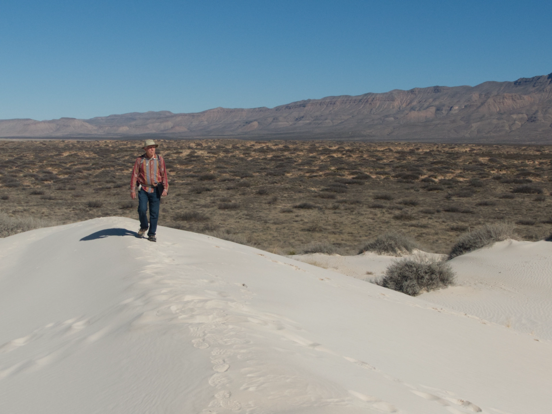 edge of the dunes