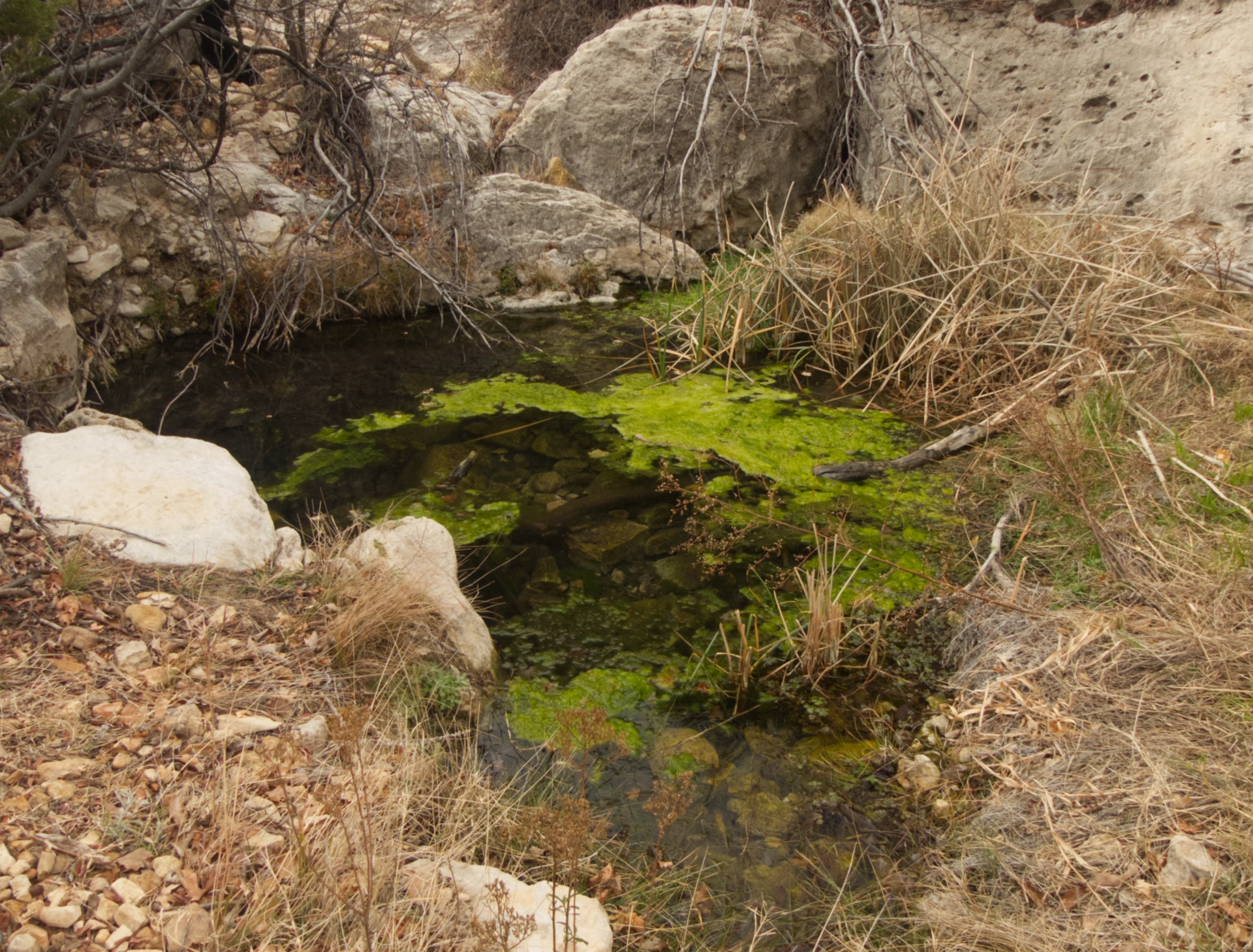 pool in Siting Bull Canyon