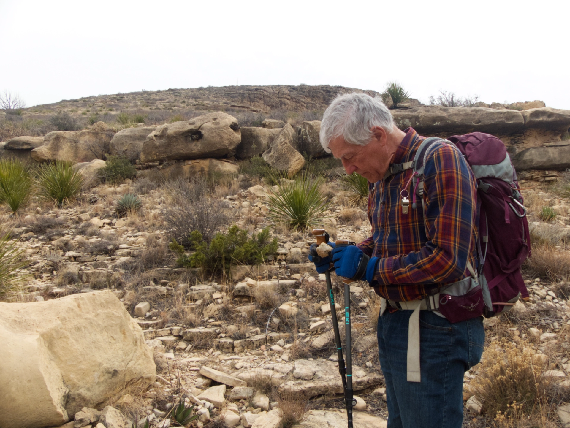 examining a rock on the hike out of Sitting Bull Canyon