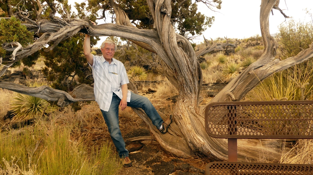 Dennis and the juniper