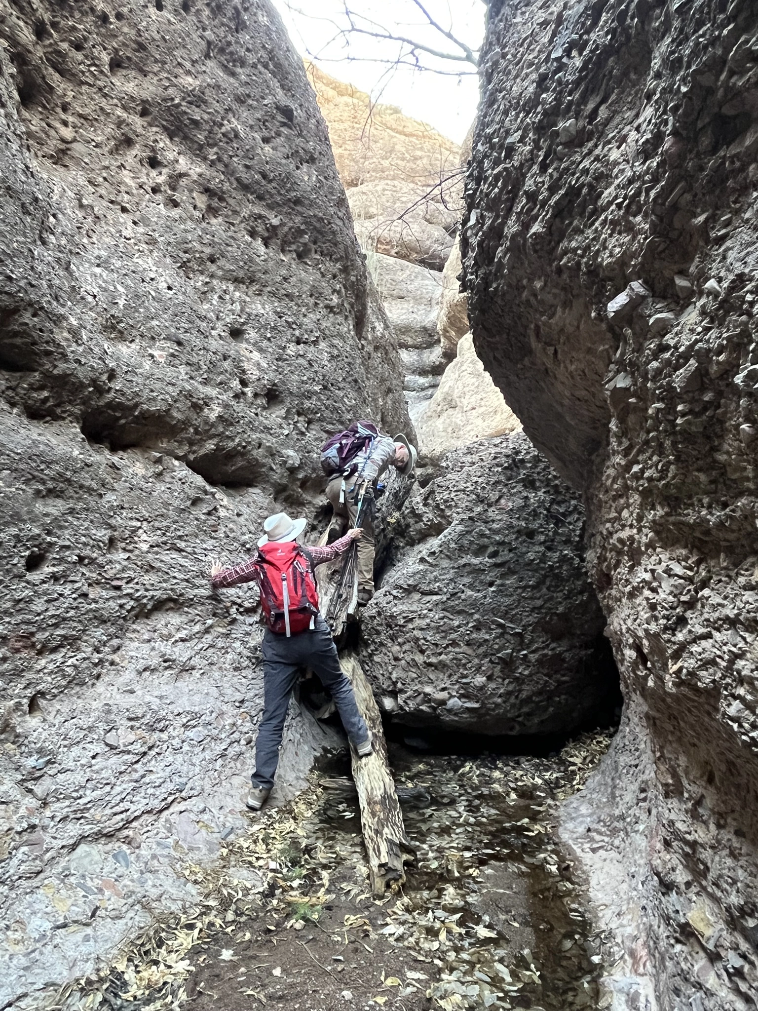 Dennis passing me his poles while he scrambles over a log