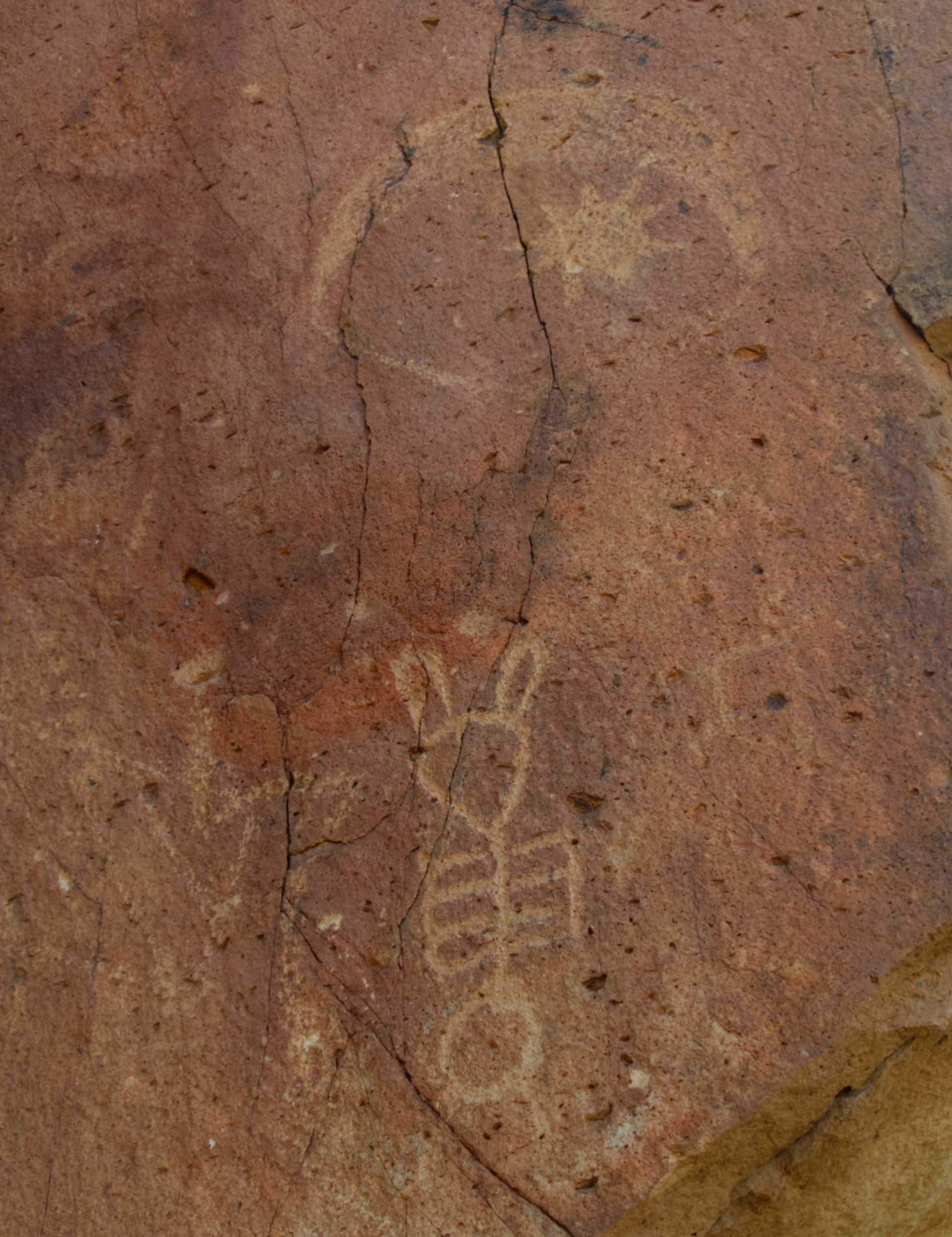 petroglyph with skeleton and starburst