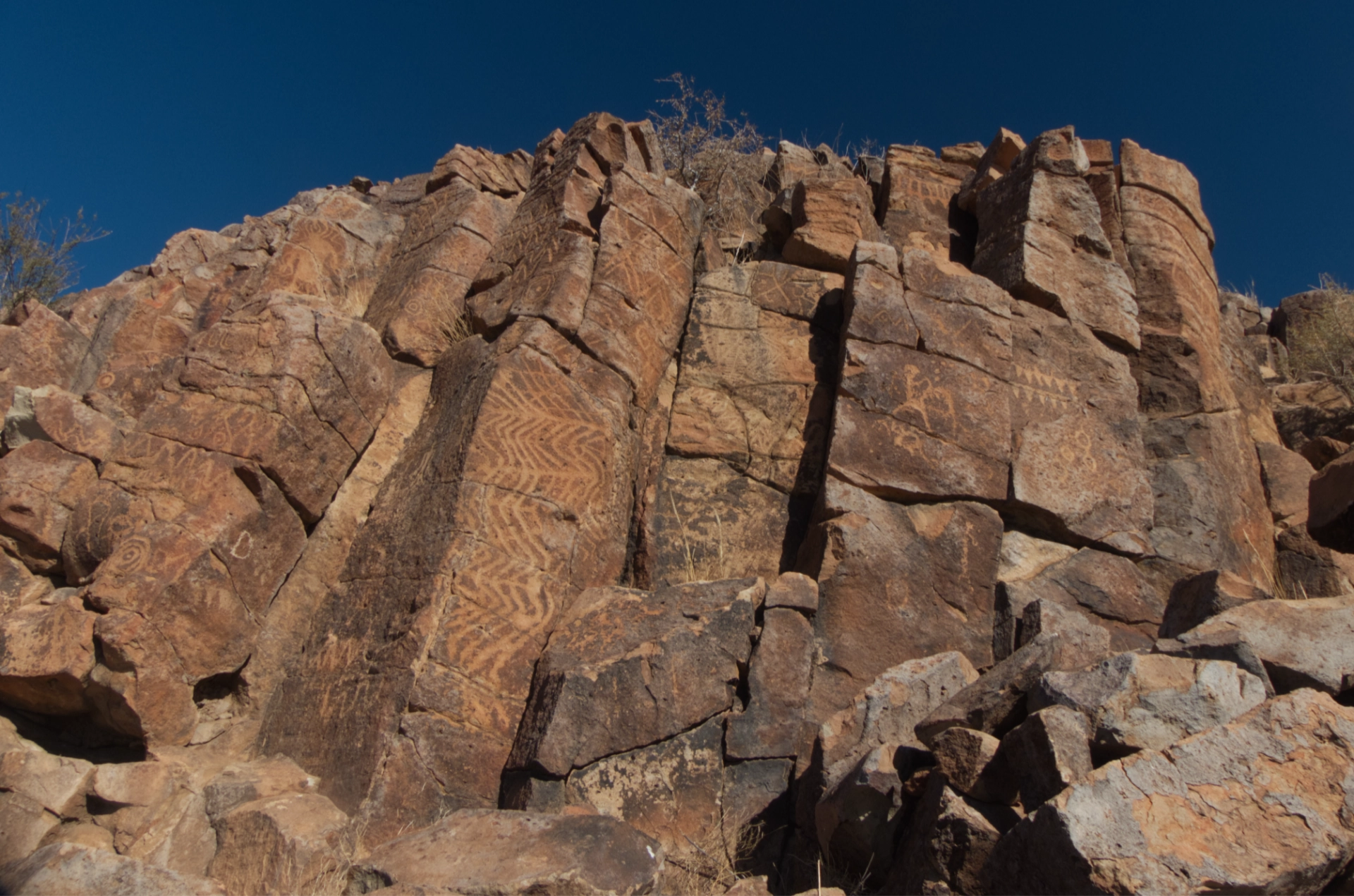 huge panel of glyphs with geometric patterns