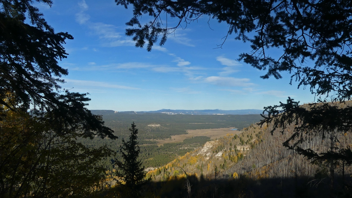 View of ELC Flat