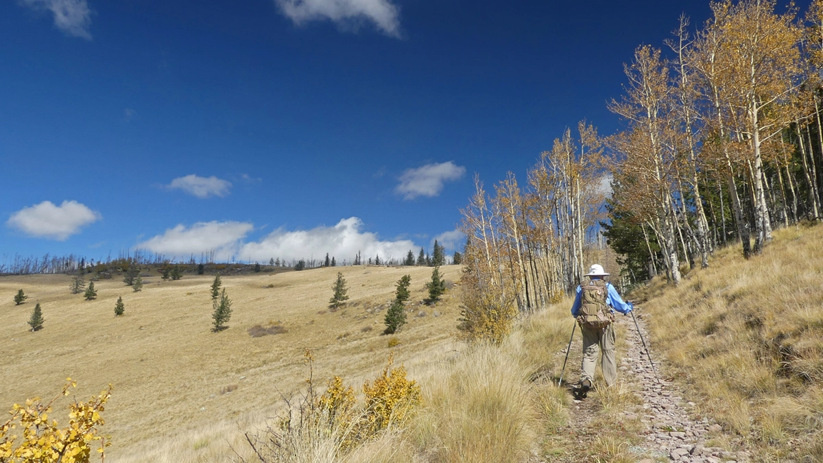 hiking across an alpine meadow