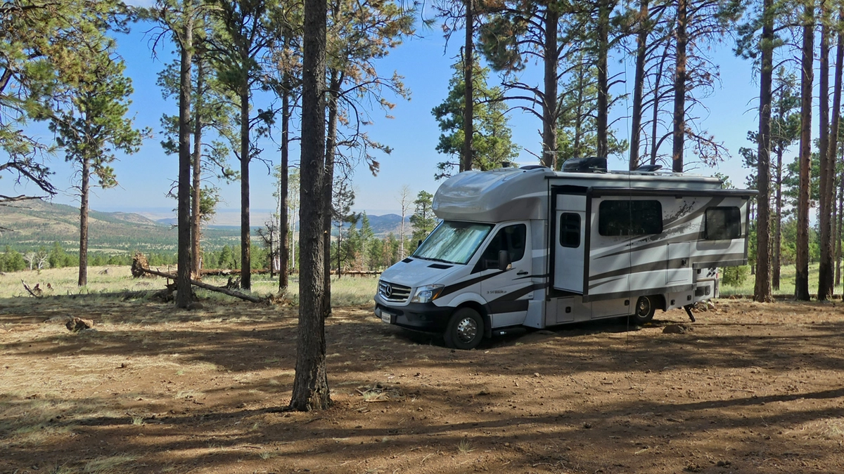 campsite