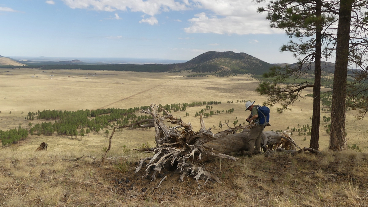 looking north toward Saddle Mountain