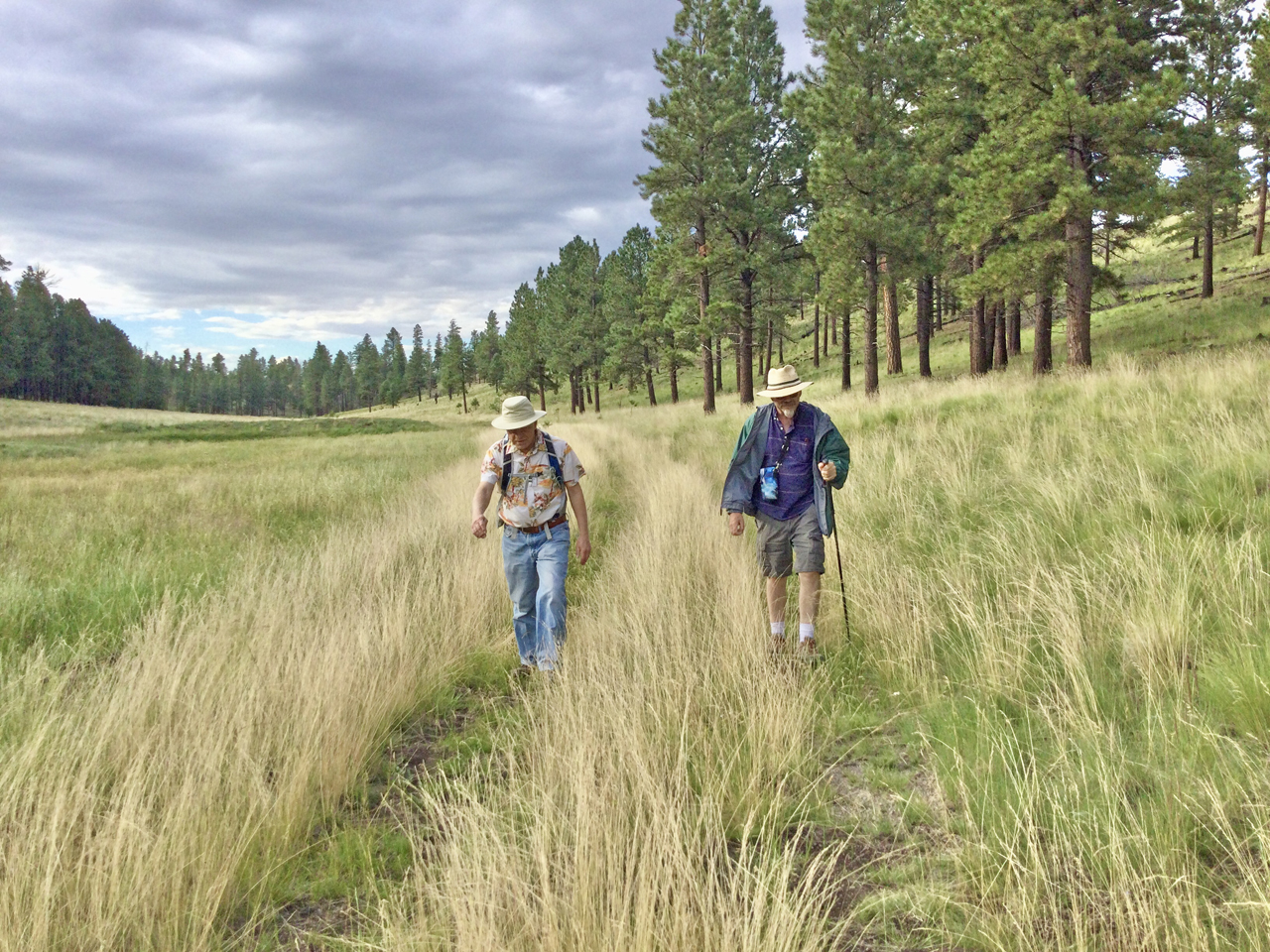 hiking along the creek