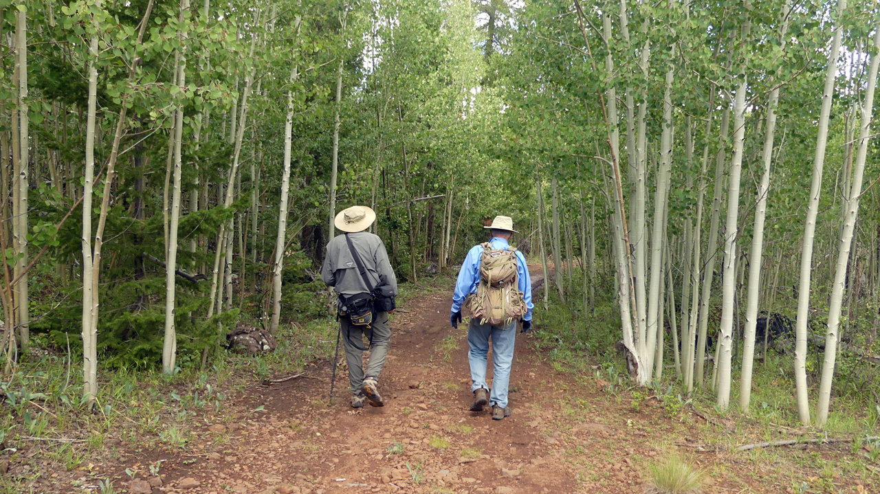 Ken and Dennis in an alpine forest