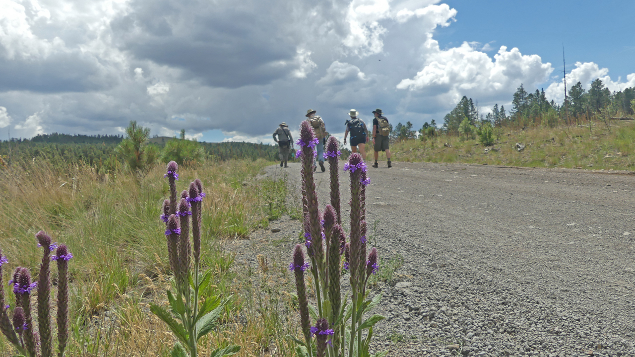 hikers heading home