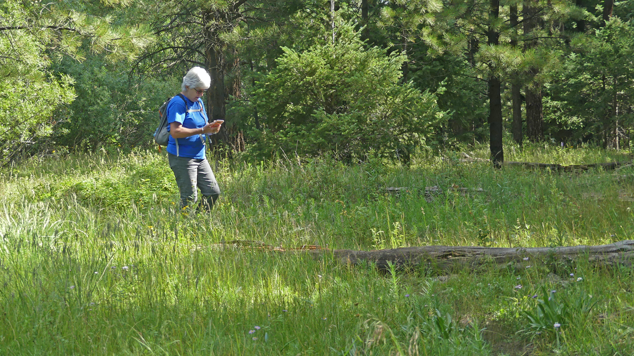 Susan taking pictures along the creek