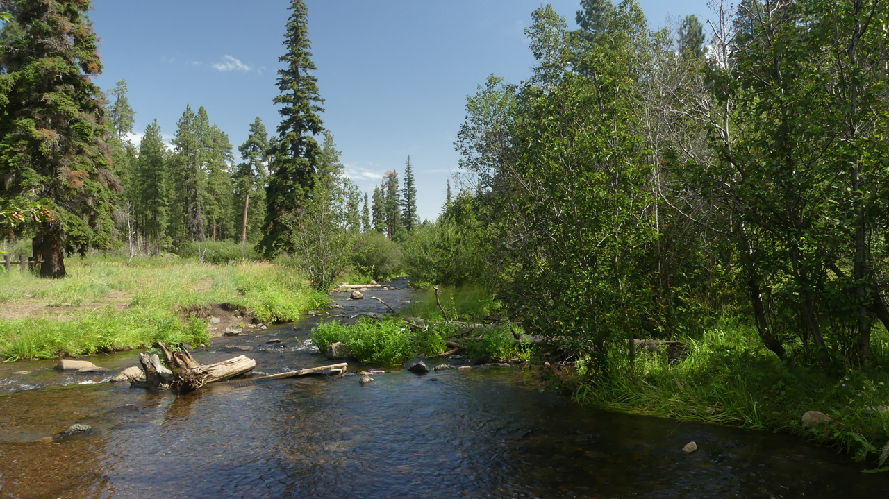 West Fork Little Colorado River