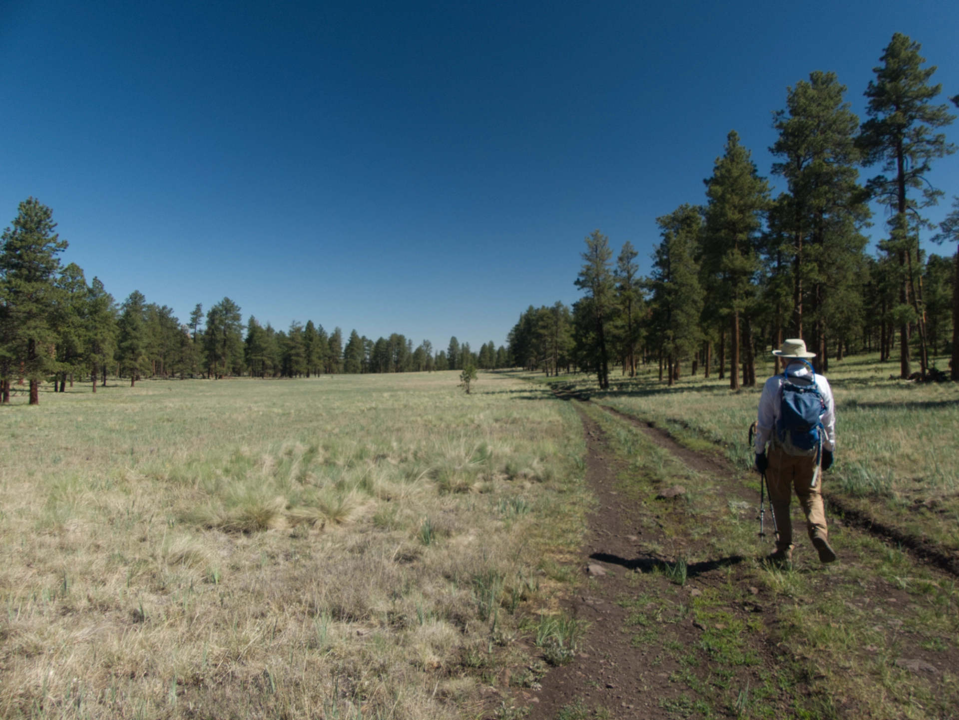 hiking through a long narrow meadow