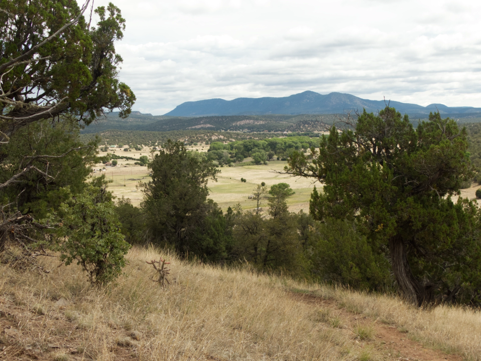 looking down into the Tularosa River valley