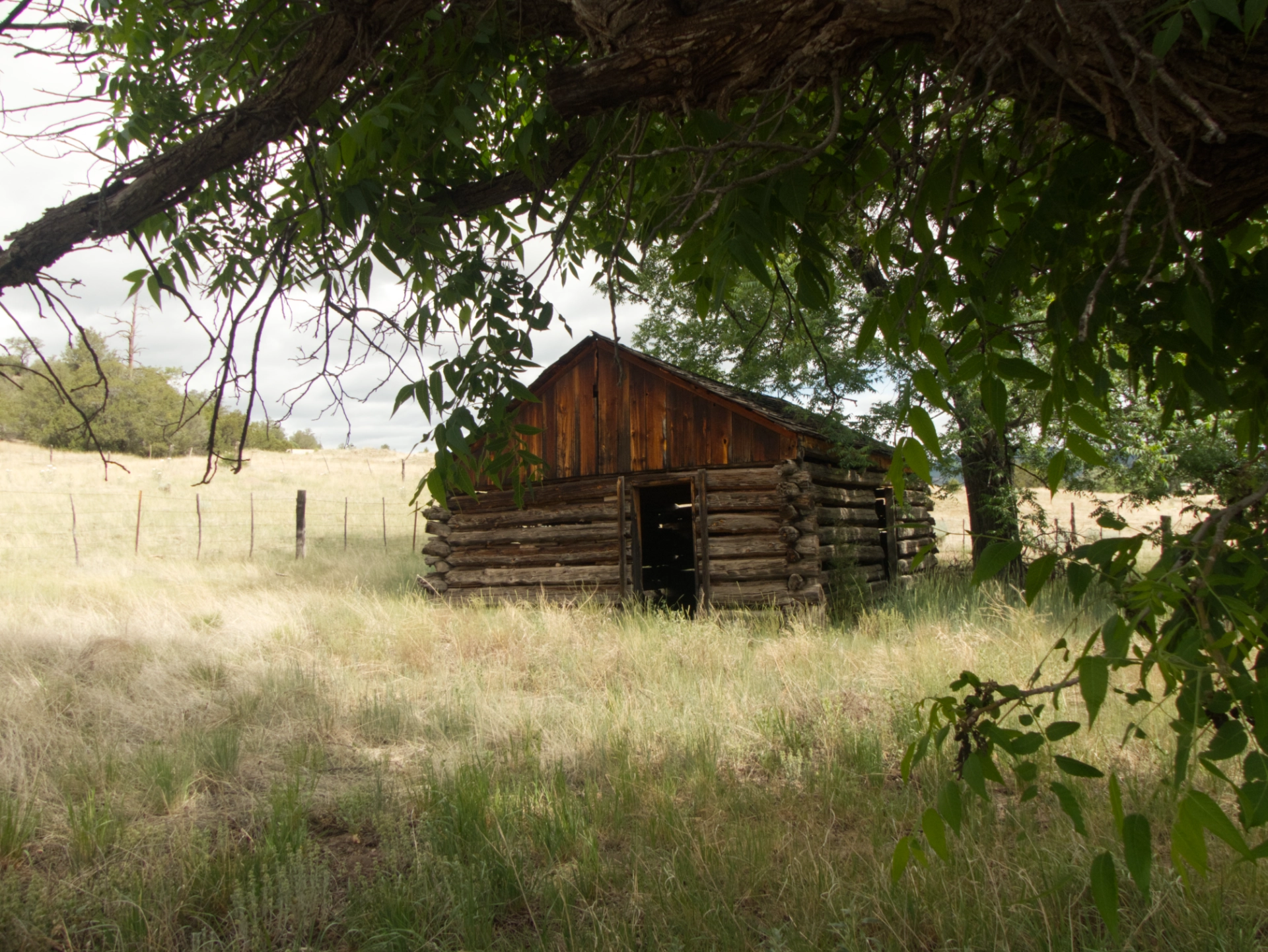 ularosa Ranger Station cabin