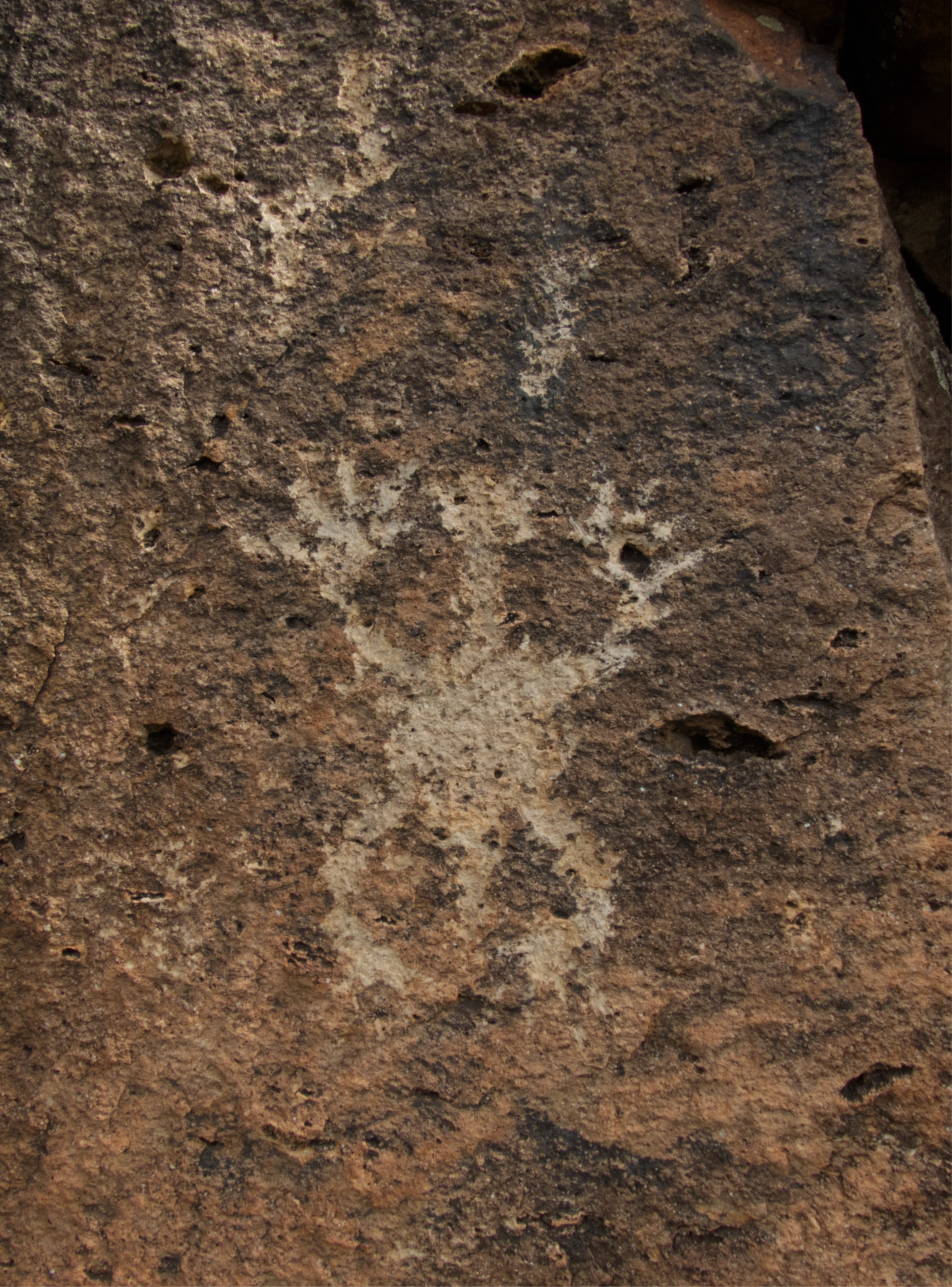 petroglyphs