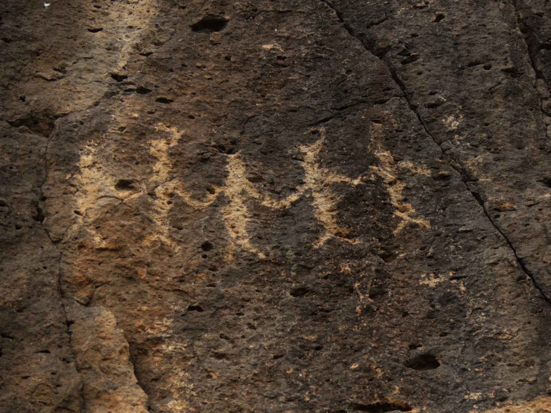 petroglyphs