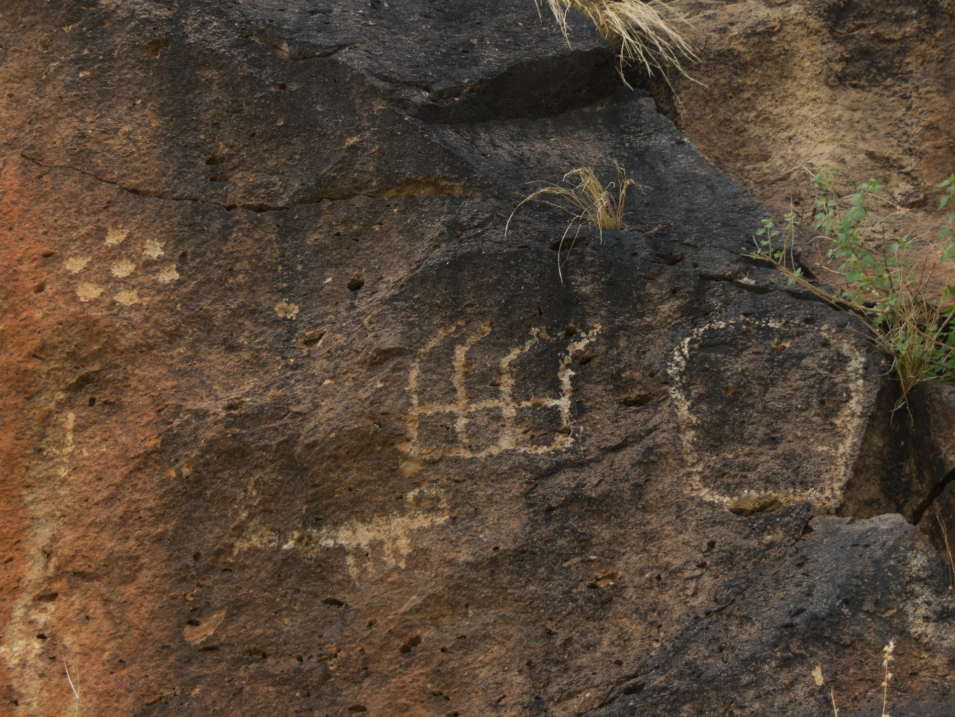 petroglyphs